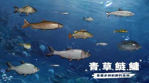天天钓鱼单机版