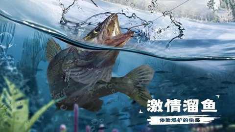 天天钓鱼单机版