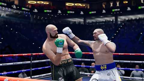 无可争议Undisputed