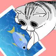 逗猫游戏