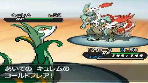 口袋妖怪黑白2单机版